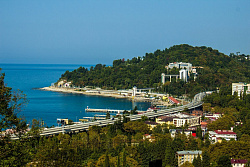 Хоста